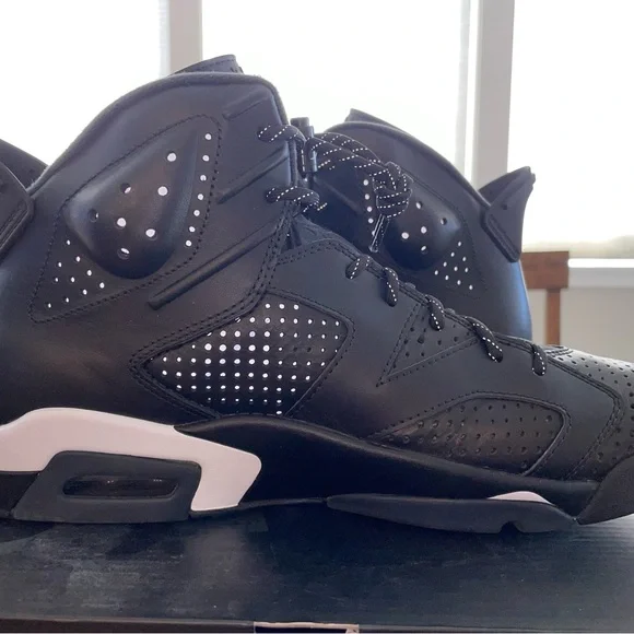 Jordan Retro “Black Cat”